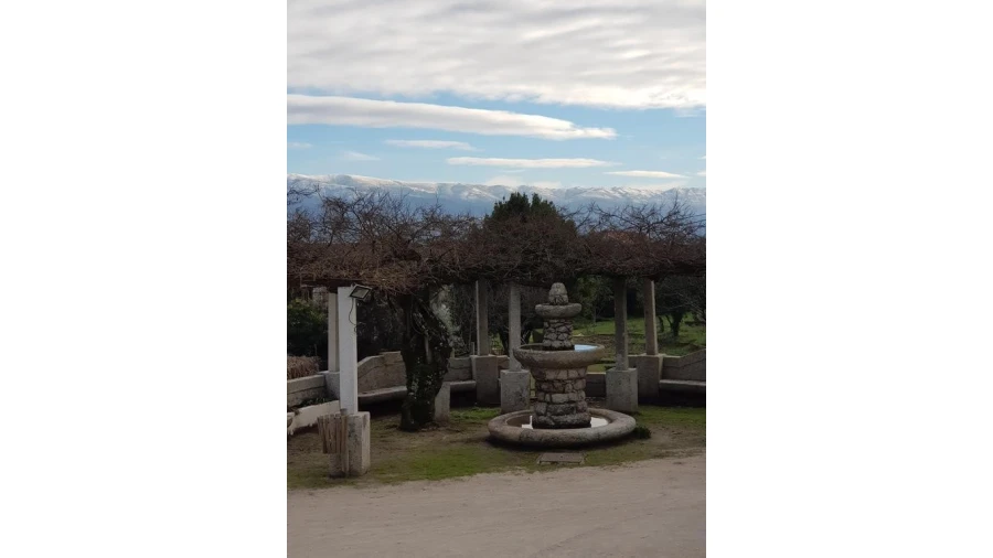 Quinta T20 para Venda em Abrunhosa-A-Velha Foto 25