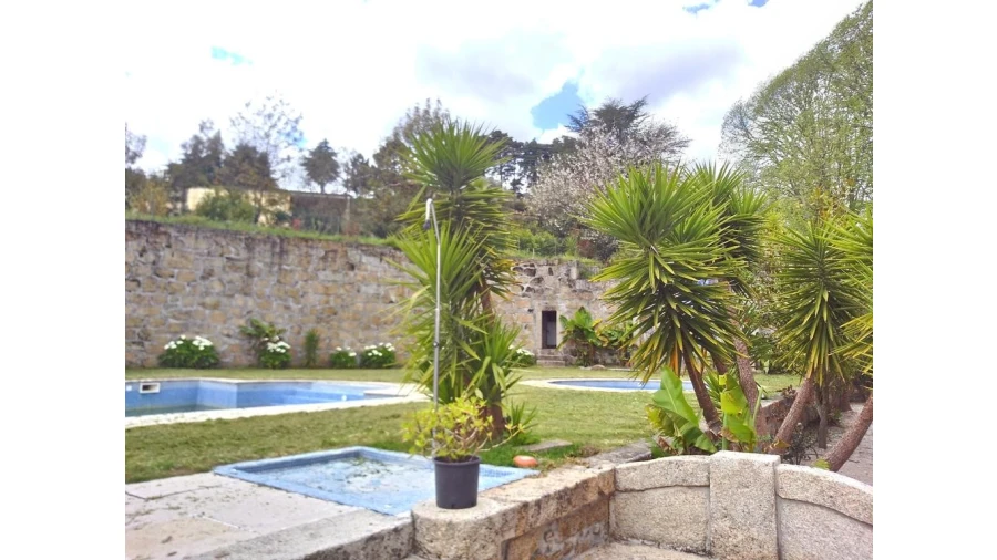 Quinta T20 para Venda em Abrunhosa-A-Velha Foto 29