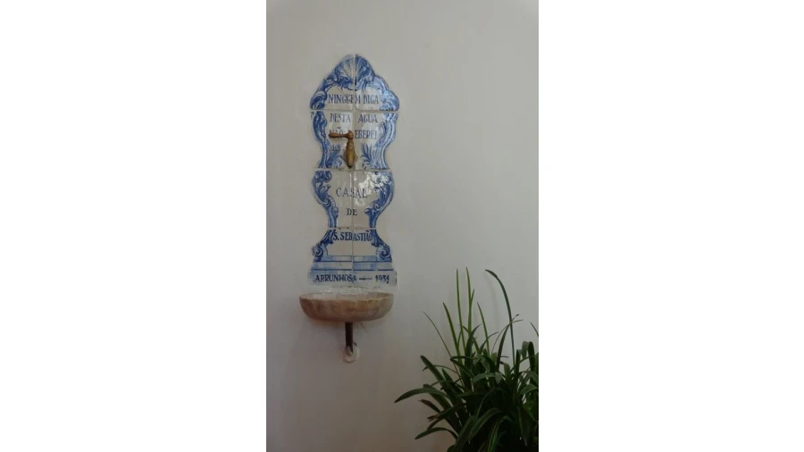 Quinta T20 para Venda em Abrunhosa-A-Velha Foto 31