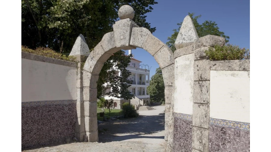 Quinta T20 para Venda em Abrunhosa-A-Velha Foto 36