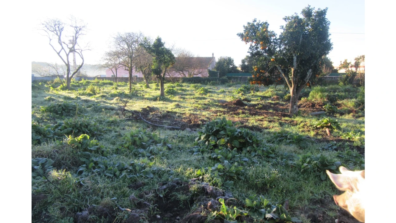 Moradia T4 para Venda em Monte Real e Carvide Foto 28