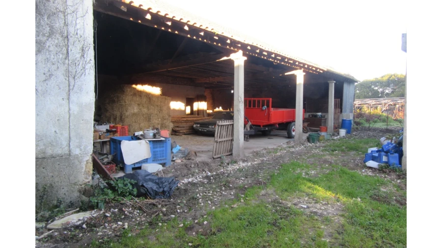 Moradia T4 para Venda em Monte Real e Carvide Foto 6