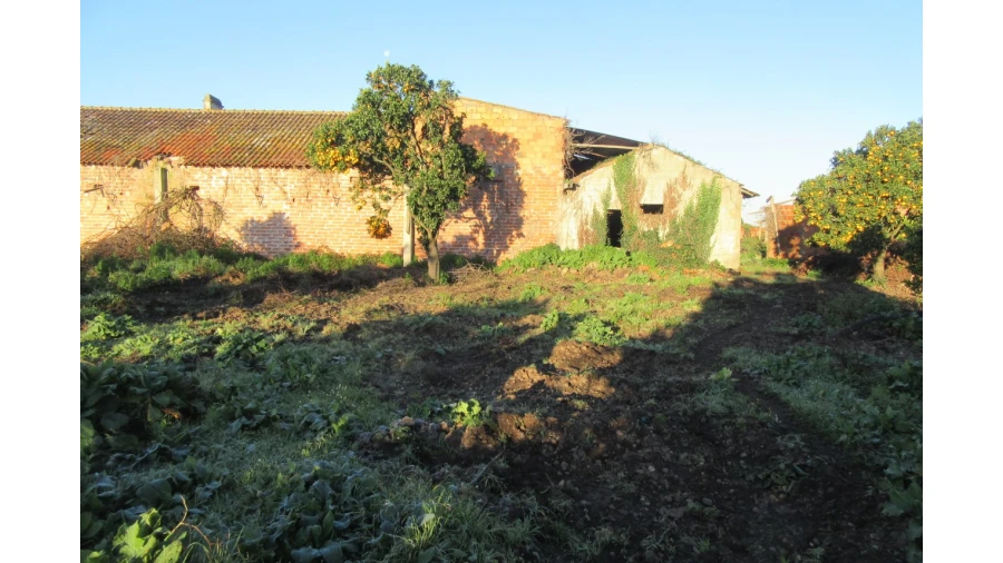 Moradia T4 para Venda em Monte Real e Carvide Foto 25