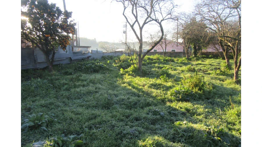 Moradia T4 para Venda em Monte Real e Carvide Foto 26