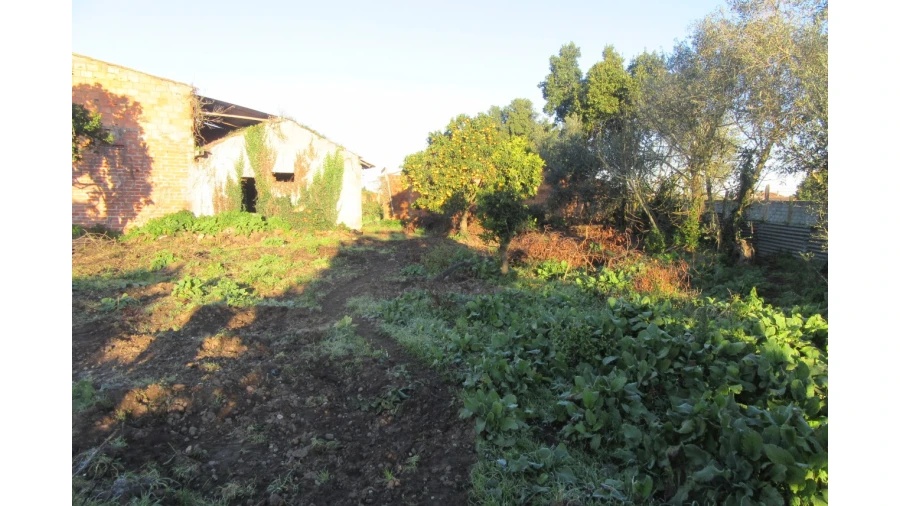 Moradia T4 para Venda em Monte Real e Carvide Foto 27