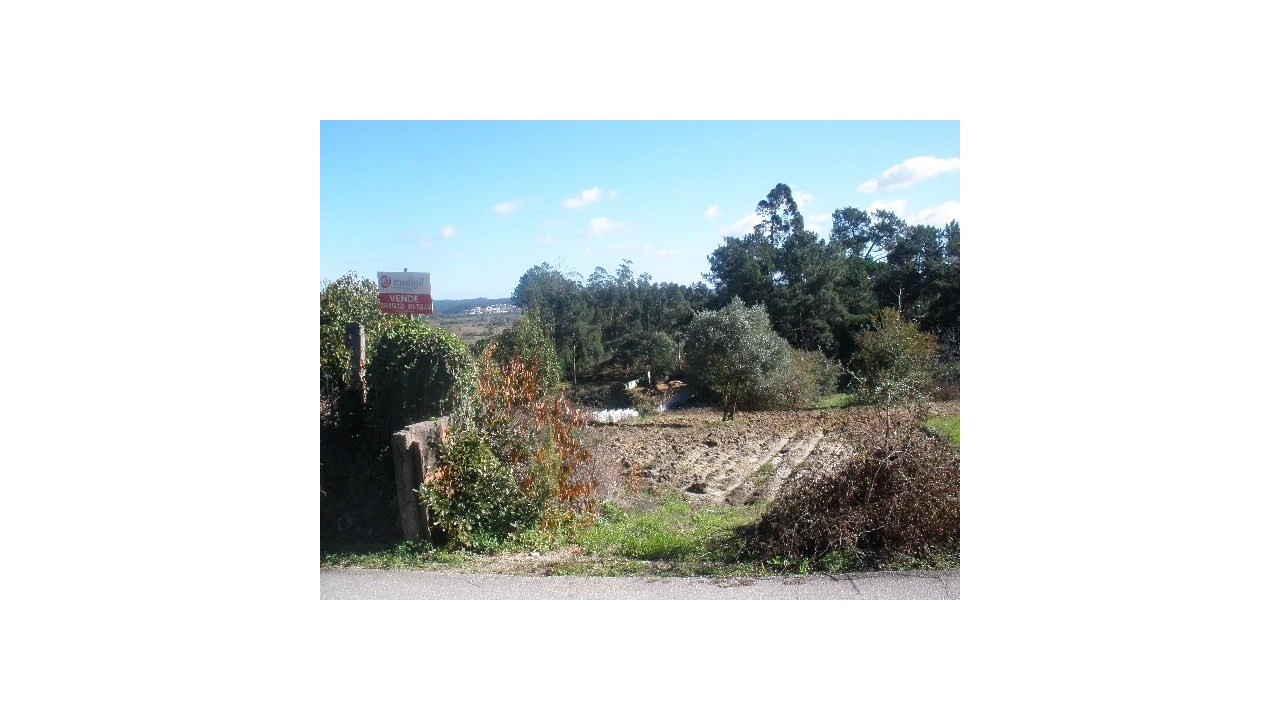 Terreno para Venda em Monte Real e Carvide Foto 1