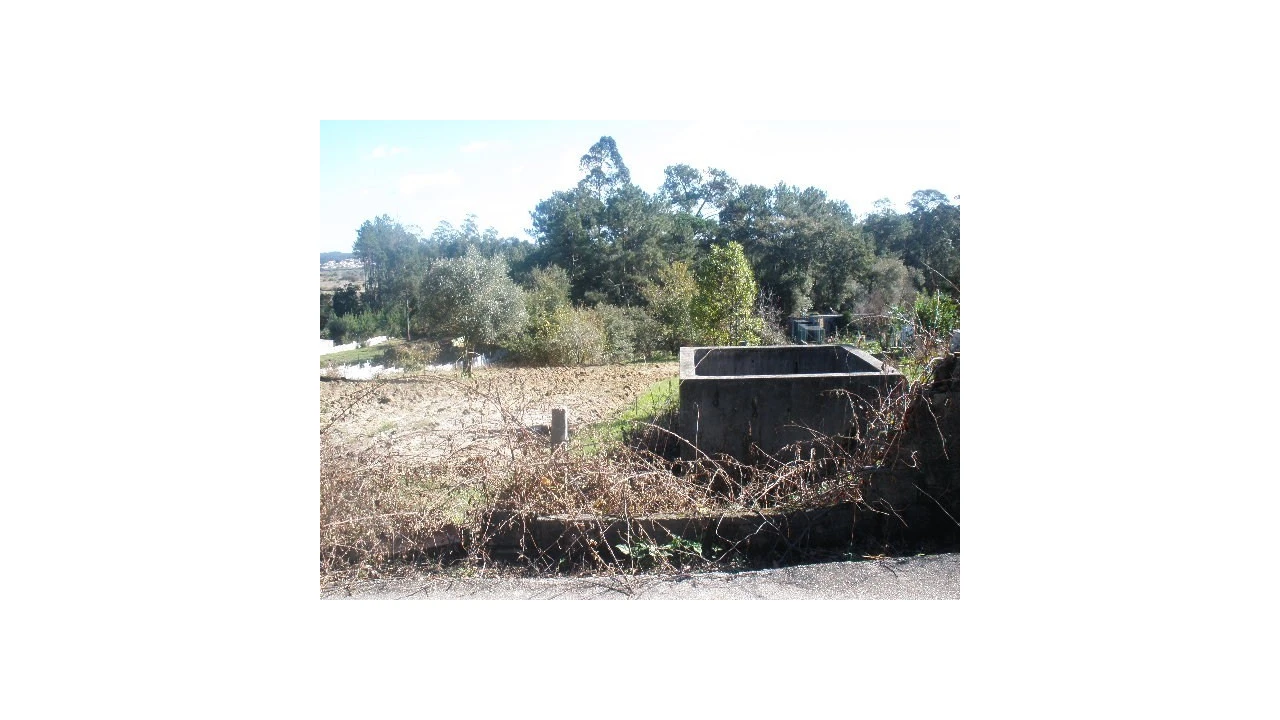 Terreno para Venda em Monte Real e Carvide Foto 2