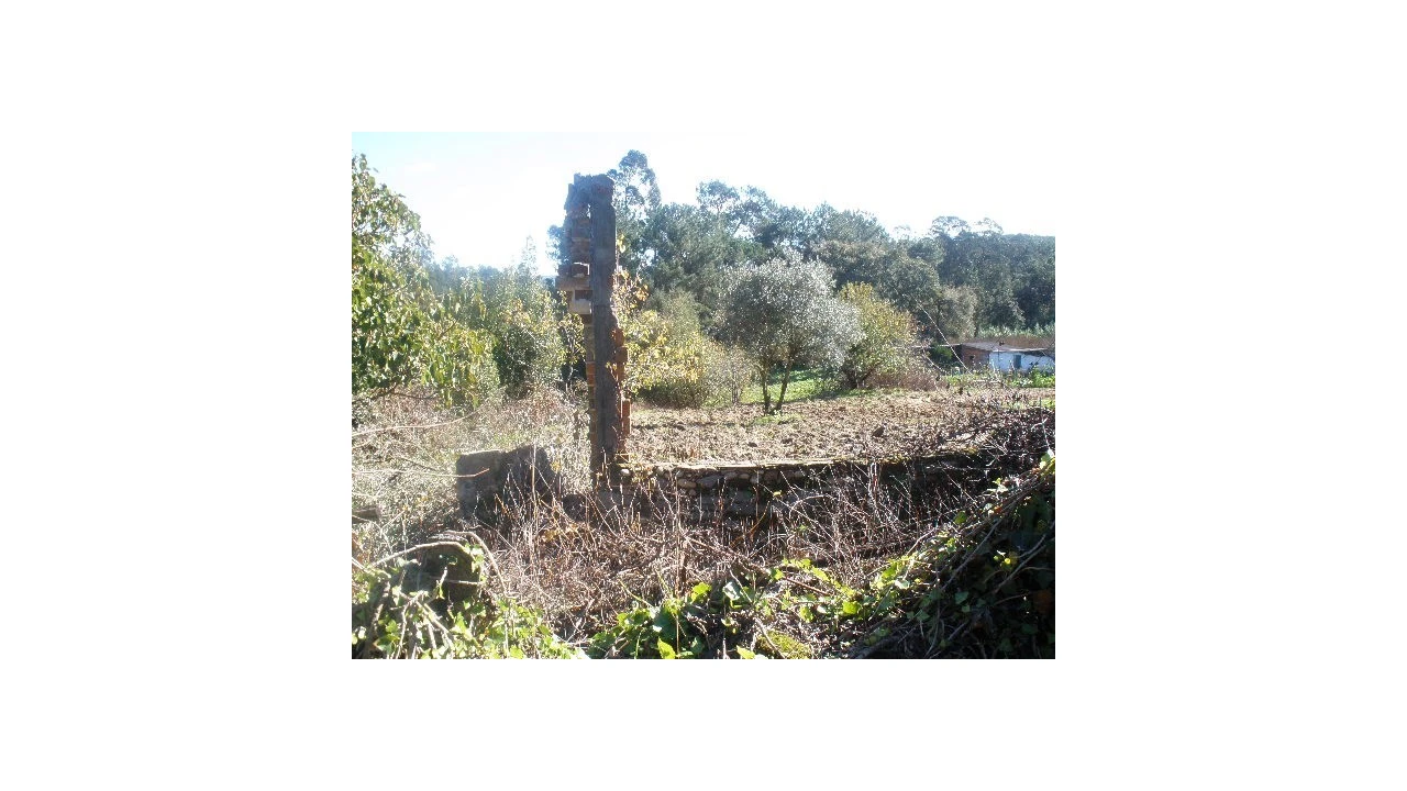 Terreno para Venda em Monte Real e Carvide Foto 3