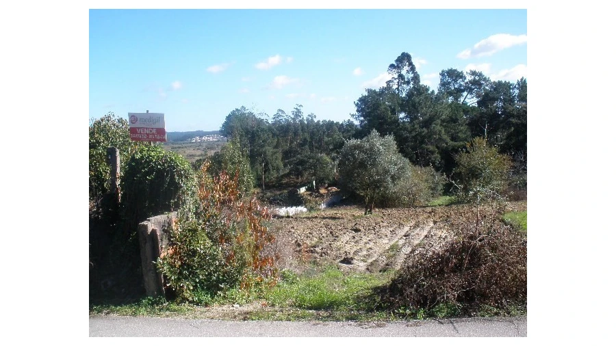 Terreno para Venda em Monte Real e Carvide