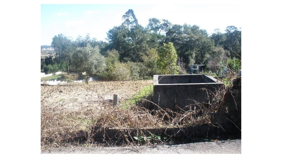 Terreno para Venda em Monte Real e Carvide Foto 2