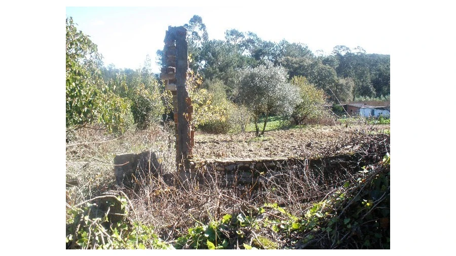 Terreno para Venda em Monte Real e Carvide Foto 3