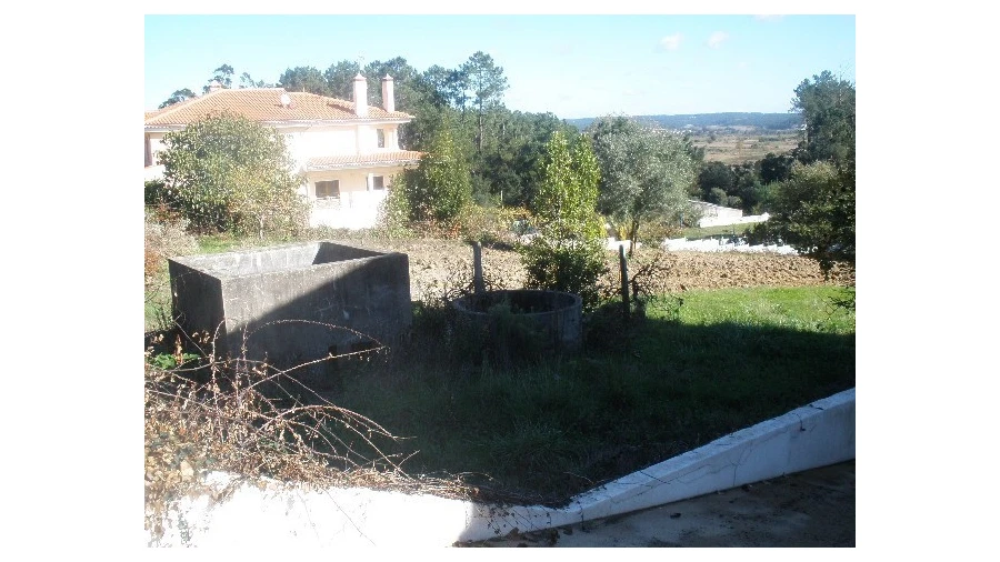 Terreno para Venda em Monte Real e Carvide Foto 4