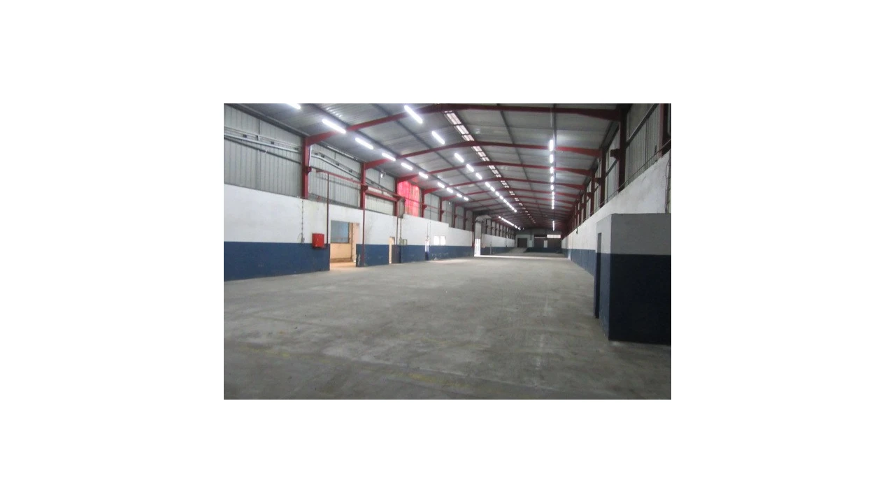 Armazém para Venda em Regueira de Pontes Foto 8