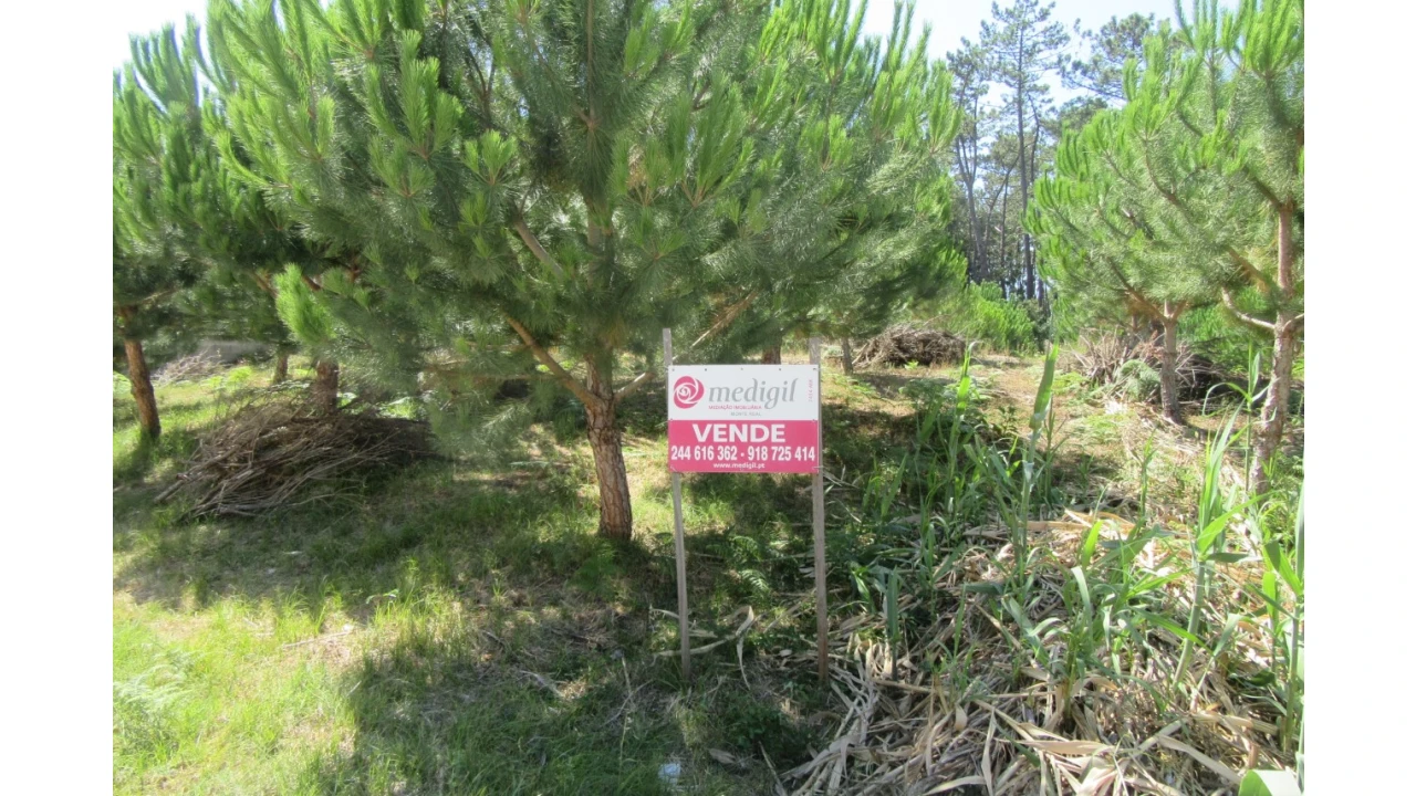 Terreno para Venda em Monte Real e Carvide Foto 2