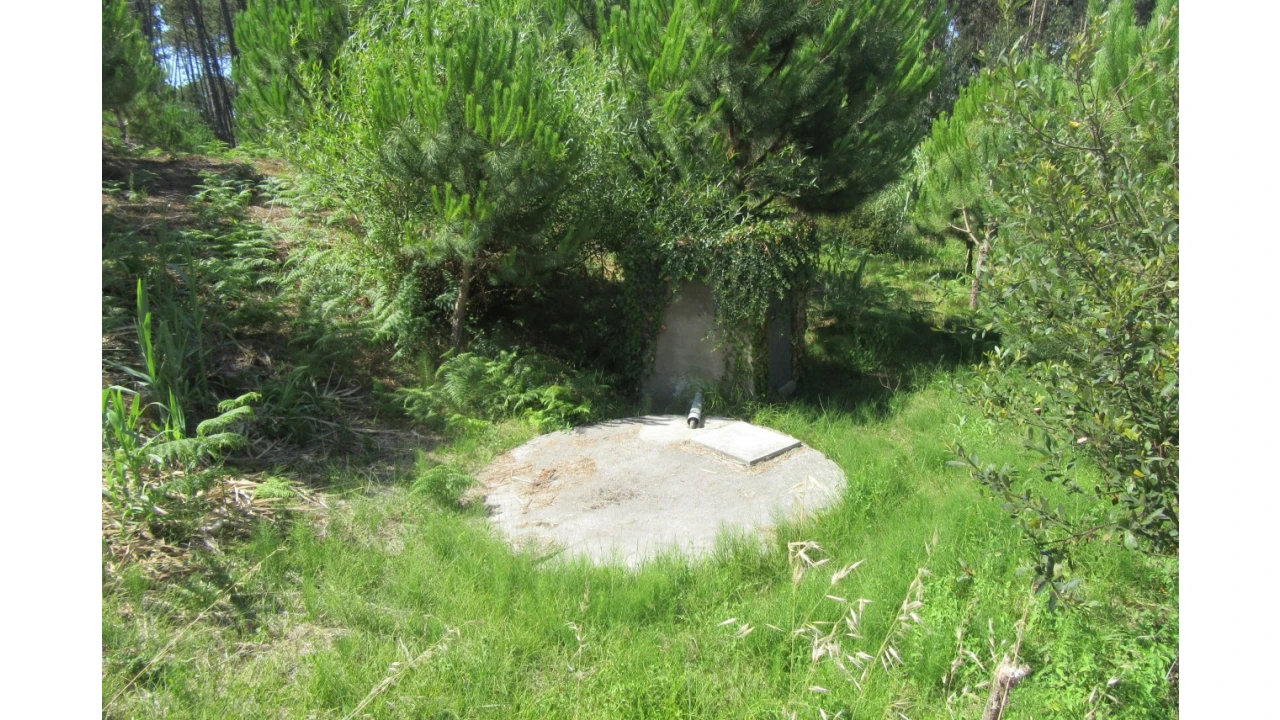 Terreno para Venda em Monte Real e Carvide Foto 3