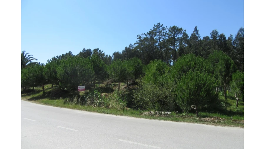 Terreno para Venda em Monte Real e Carvide