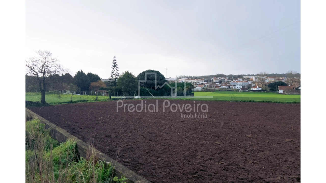 Terreno para Venda em Arvore Foto 1