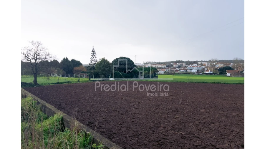 Terreno para Venda em Arvore Foto 1