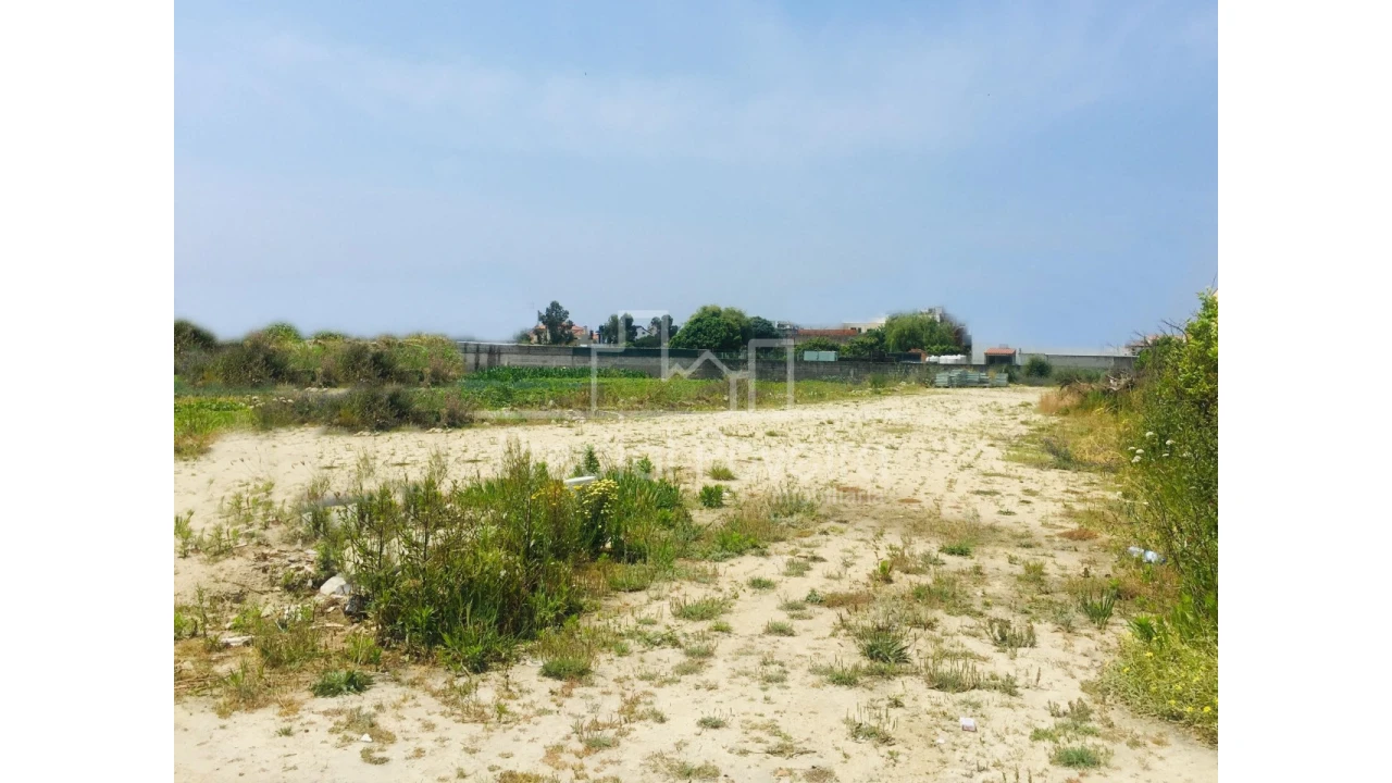Terreno Agricola ou Rústico para Venda em Aver-O-Mar, Amorim e Terroso Foto 1