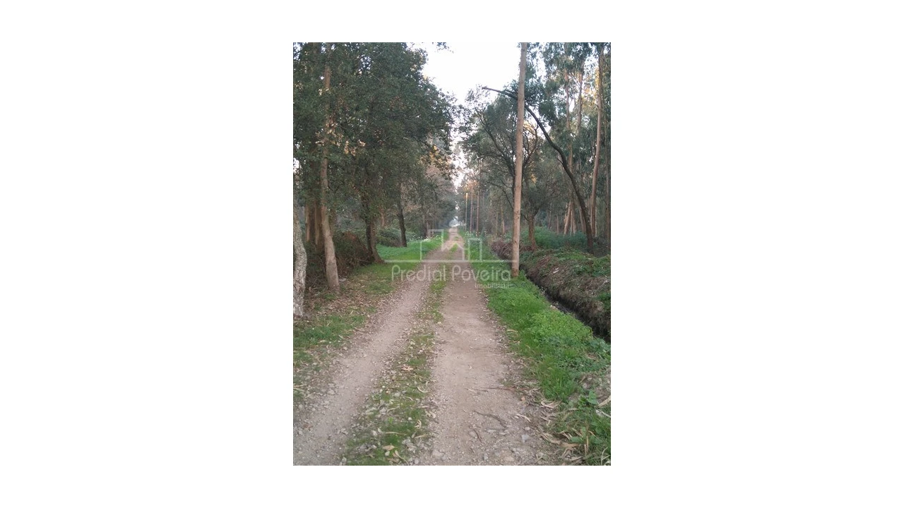 Terreno para Venda em Laundos Foto 1