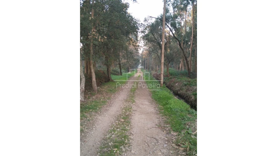 Terreno para Venda em Laundos