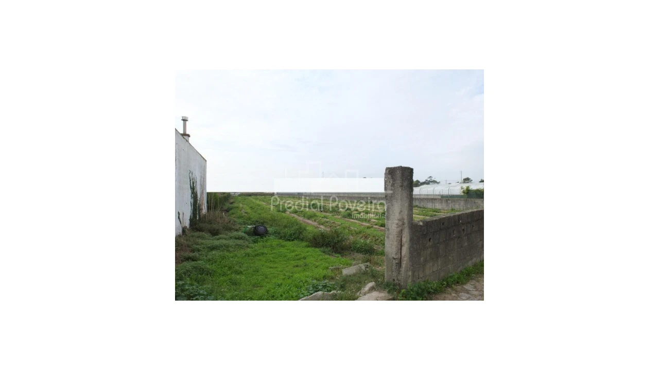 Terreno para Venda em Estela Foto 2