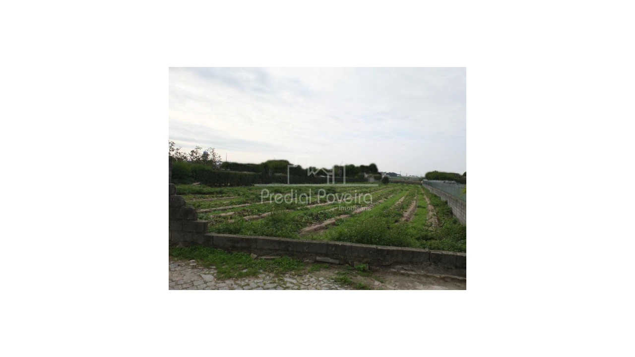 Terreno para Venda em Estela Foto 3