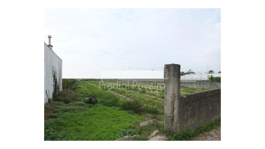 Terreno para Venda em Estela Foto 2
