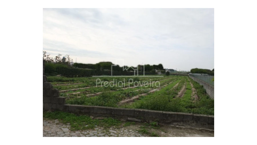 Terreno para Venda em Estela Foto 3