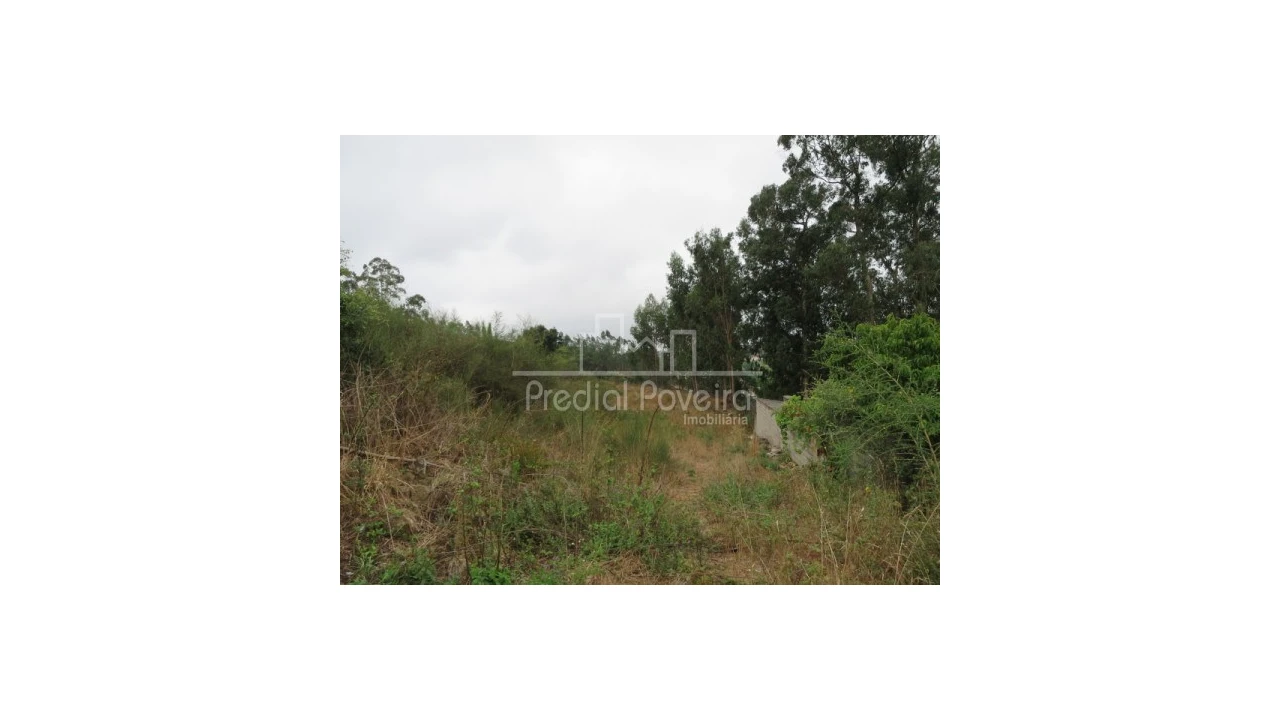 Terreno Agricola ou Rústico para Venda em Touguinha e Touguinhó Foto 2