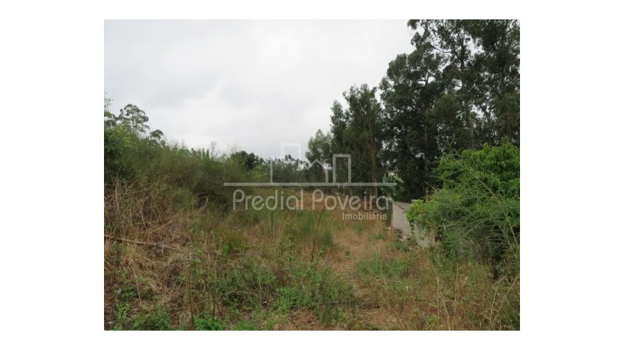 Terreno Agricola ou Rústico para Venda em Touguinha e Touguinhó Foto 2