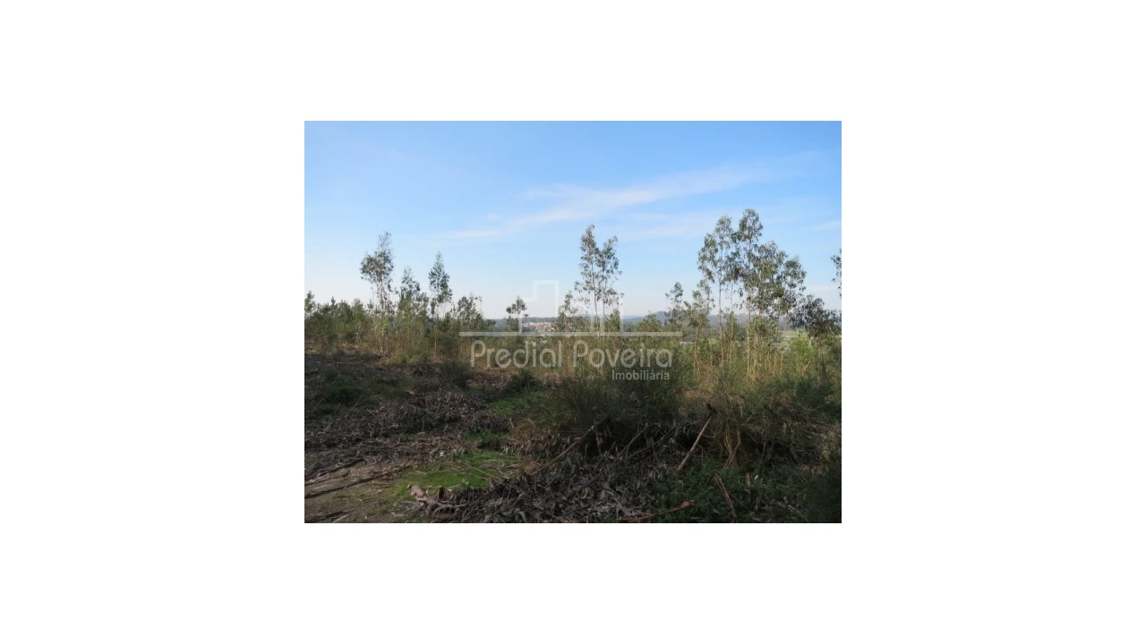 Terreno para Venda em Cristelo Foto 1