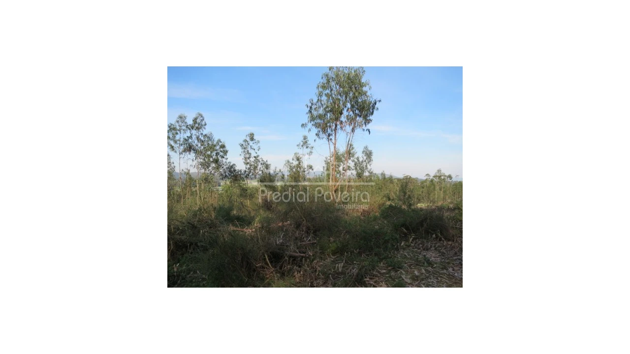 Terreno para Venda em Cristelo Foto 2