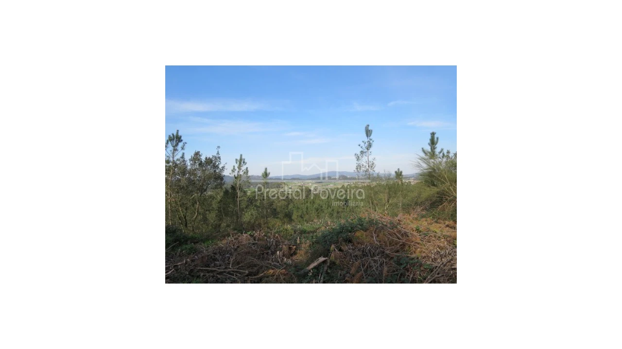 Terreno para Venda em Cristelo Foto 3