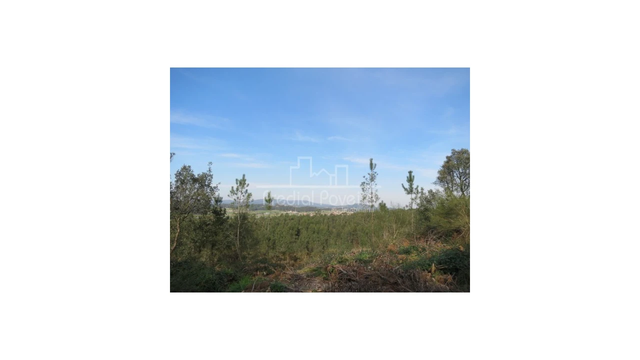 Terreno para Venda em Cristelo Foto 4