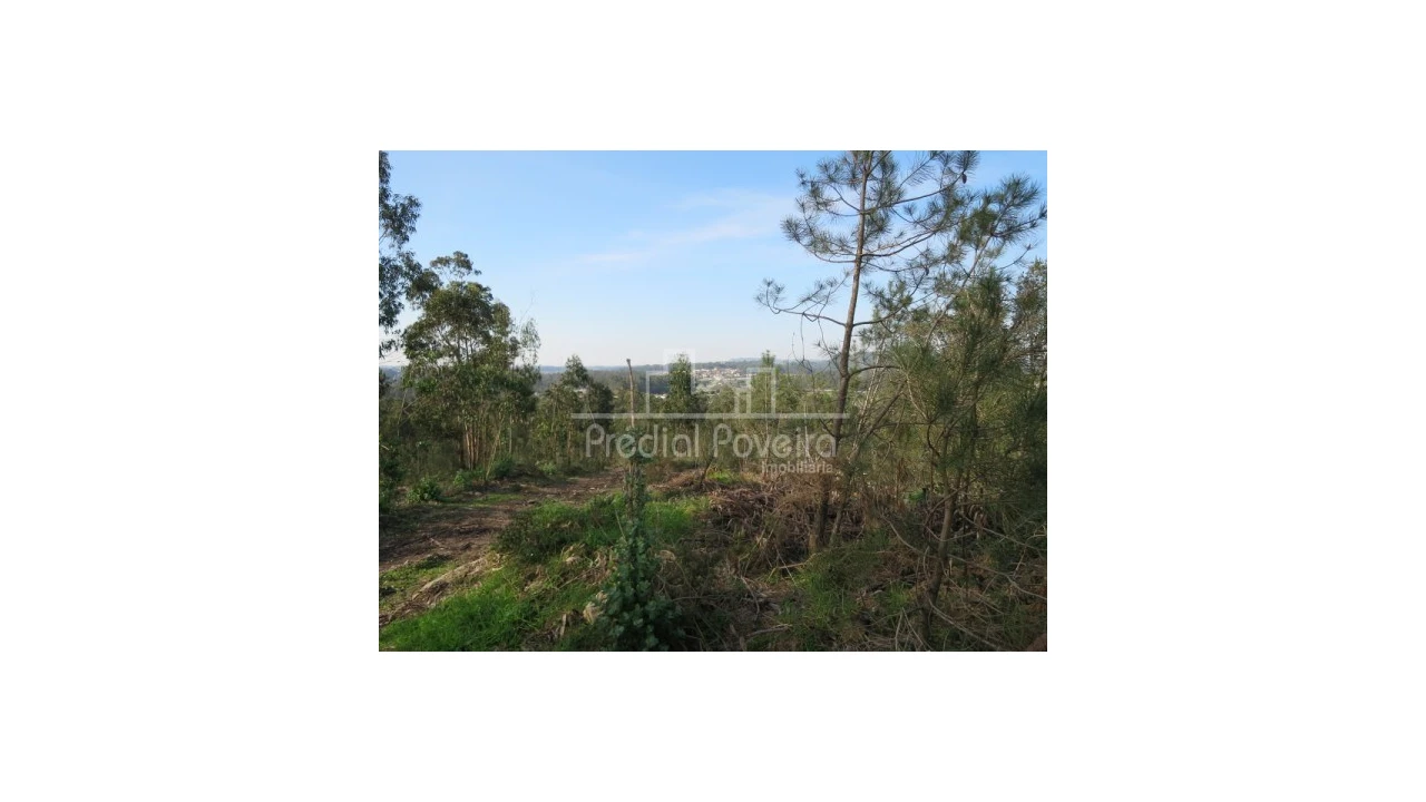 Terreno para Venda em Cristelo Foto 5