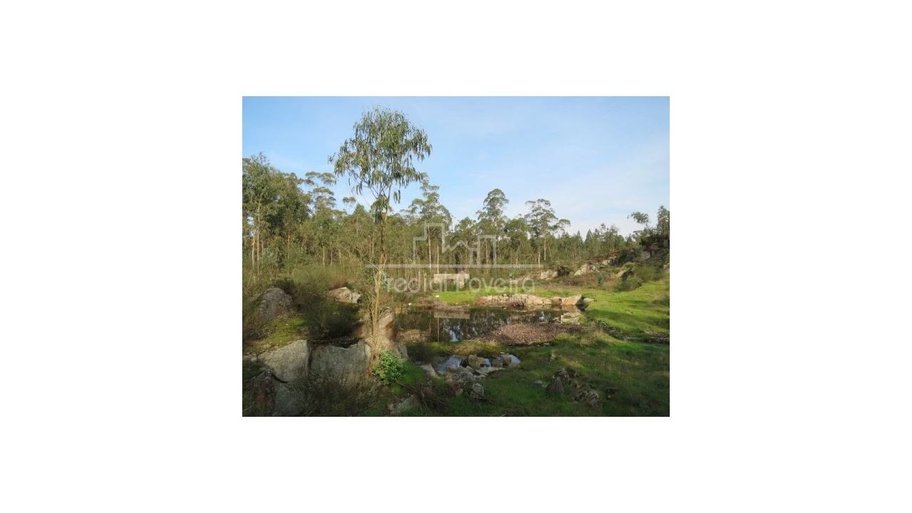 Terreno para Venda em Cristelo Foto 7