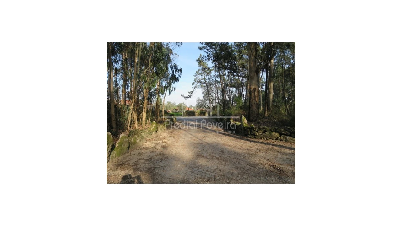 Terreno para Venda em Cristelo Foto 10