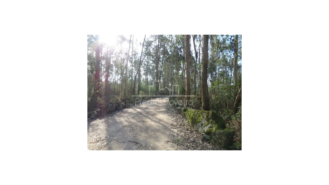 Terreno para Venda em Cristelo Foto 11
