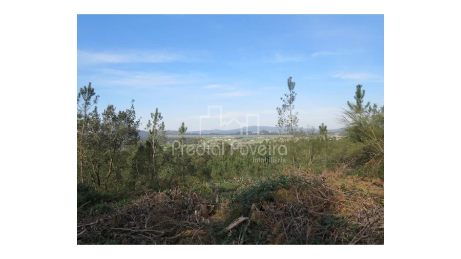 Terreno para Venda em Cristelo Foto 3