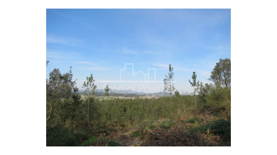 Terreno para Venda em Cristelo Foto 4