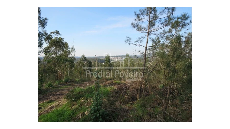 Terreno para Venda em Cristelo Foto 5