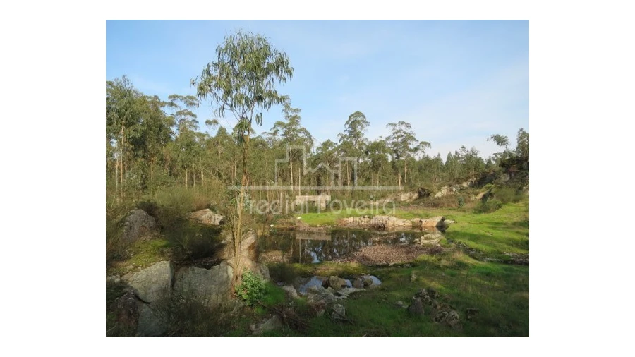 Terreno para Venda em Cristelo Foto 7