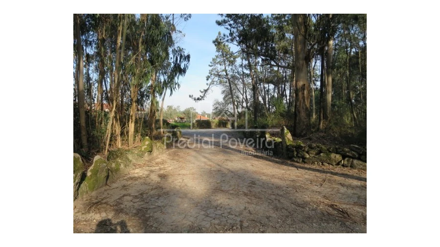 Terreno para Venda em Cristelo Foto 10