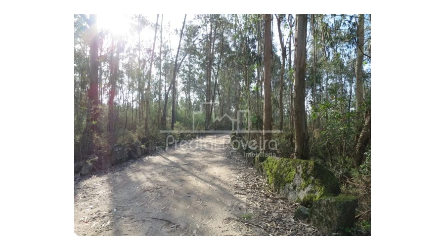 Terreno para Venda em Cristelo Foto 11