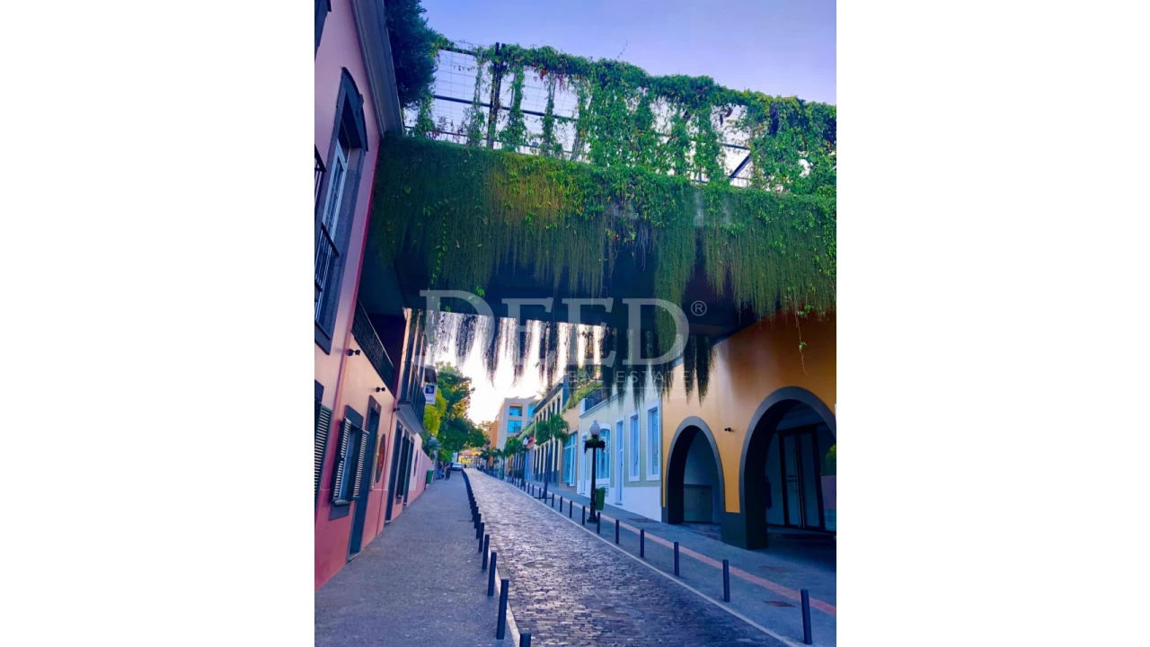 Negócio para Venda em Funchal (Se) Foto 4