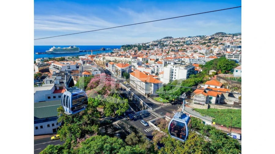 Negócio para Venda em Funchal (Se) Foto 3