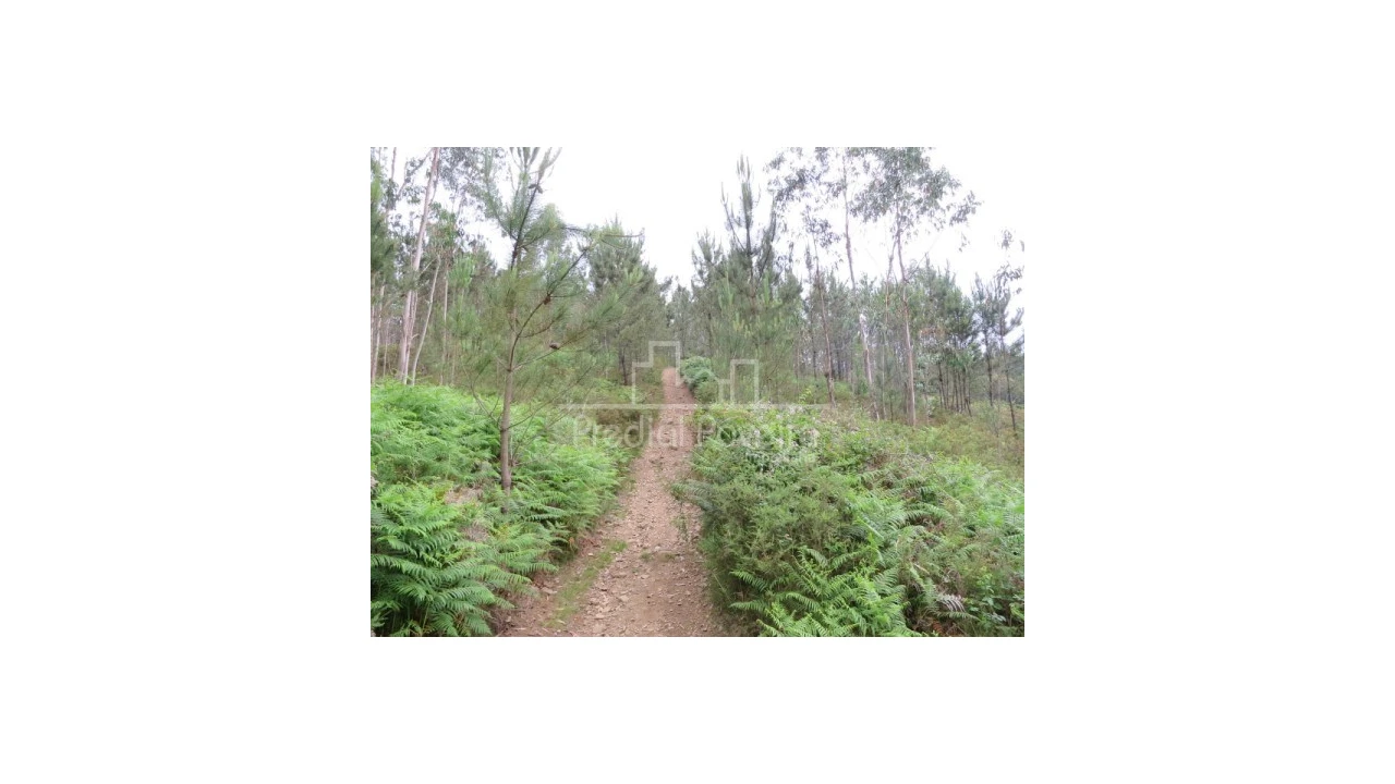 Terreno para Venda em Gondifelos, Cavalões e Outiz Foto 1