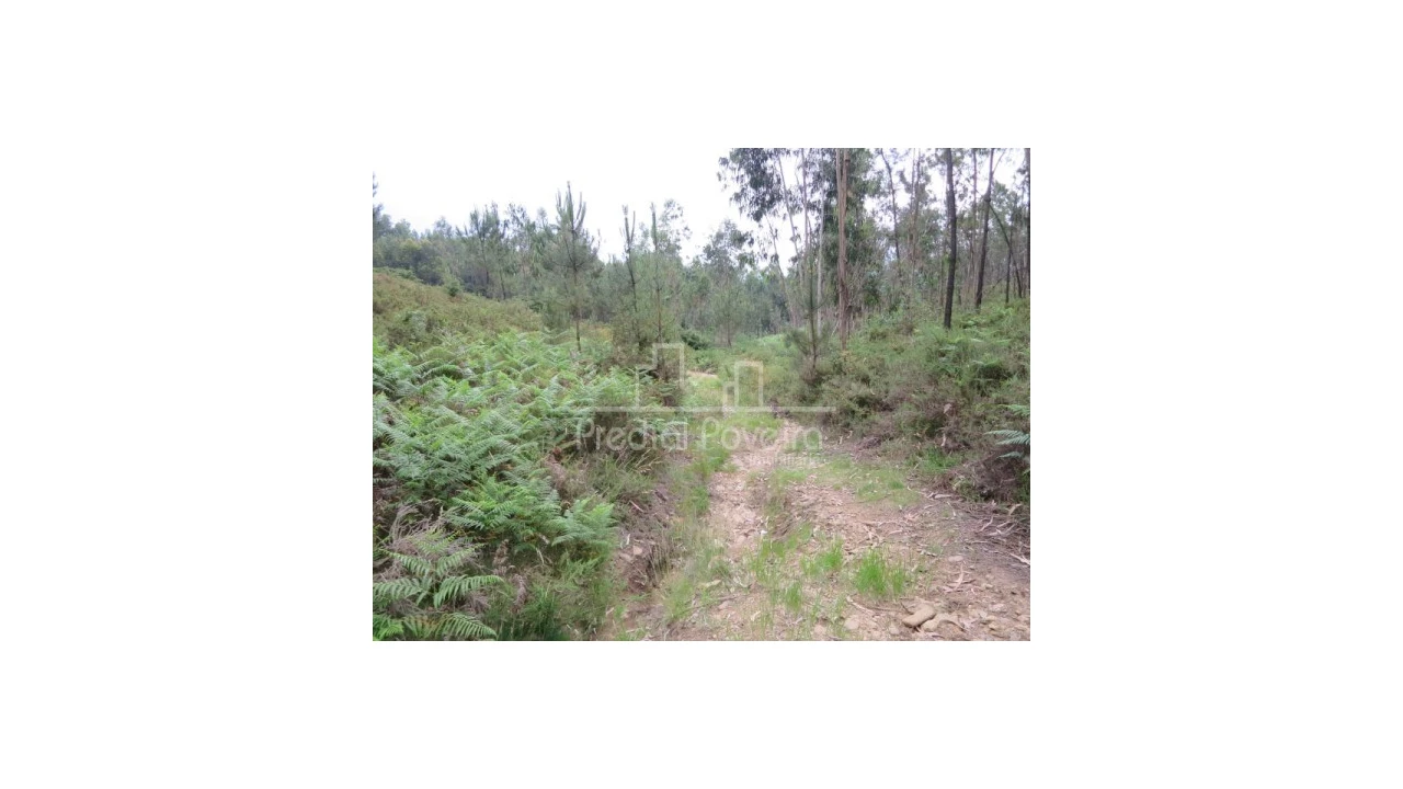 Terreno para Venda em Gondifelos, Cavalões e Outiz Foto 2