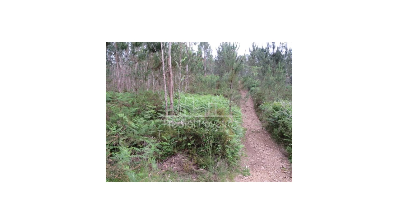 Terreno para Venda em Gondifelos, Cavalões e Outiz Foto 4